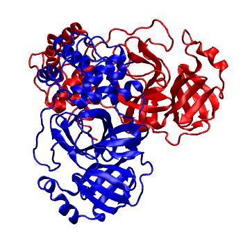 Structure preview of Folding@home molecular dynamics simulations of Diamond Light Source / XChem X-ray structures of small molecule inhibitors of the SARS-CoV-2 main protease from the COVID Moonshot; project 13437, run 299