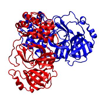Structure preview of Folding@home molecular dynamics simulations of Diamond Light Source / XChem X-ray structures of small molecule inhibitors of the SARS-CoV-2 main protease from the COVID Moonshot; project 13437, run 29