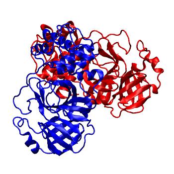 Structure preview of Folding@home molecular dynamics simulations of Diamond Light Source / XChem X-ray structures of small molecule inhibitors of the SARS-CoV-2 main protease from the COVID Moonshot; project 13437, run 2