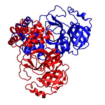 Structure preview of Folding@home molecular dynamics simulations of Diamond Light Source / XChem X-ray structures of small molecule inhibitors of the SARS-CoV-2 main protease from the COVID Moonshot; project 13437, run 300