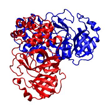 Structure preview of Folding@home molecular dynamics simulations of Diamond Light Source / XChem X-ray structures of small molecule inhibitors of the SARS-CoV-2 main protease from the COVID Moonshot; project 13437, run 302