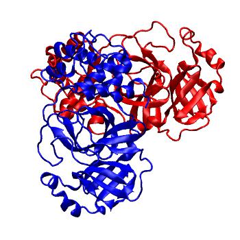 Structure preview of Folding@home molecular dynamics simulations of Diamond Light Source / XChem X-ray structures of small molecule inhibitors of the SARS-CoV-2 main protease from the COVID Moonshot; project 13437, run 305