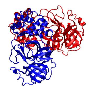 Structure preview of Folding@home molecular dynamics simulations of Diamond Light Source / XChem X-ray structures of small molecule inhibitors of the SARS-CoV-2 main protease from the COVID Moonshot; project 13437, run 306