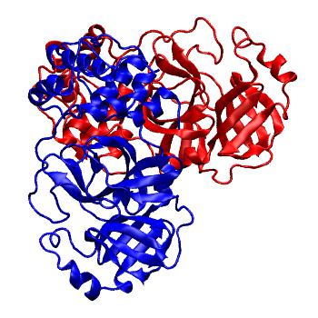 Structure preview of Folding@home molecular dynamics simulations of Diamond Light Source / XChem X-ray structures of small molecule inhibitors of the SARS-CoV-2 main protease from the COVID Moonshot; project 13437, run 307