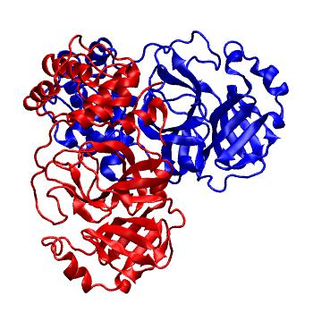 Structure preview of Folding@home molecular dynamics simulations of Diamond Light Source / XChem X-ray structures of small molecule inhibitors of the SARS-CoV-2 main protease from the COVID Moonshot; project 13437, run 309