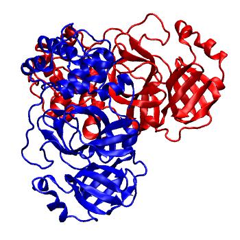 Structure preview of Folding@home molecular dynamics simulations of Diamond Light Source / XChem X-ray structures of small molecule inhibitors of the SARS-CoV-2 main protease from the COVID Moonshot; project 13437, run 310