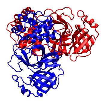 Structure preview of Folding@home molecular dynamics simulations of Diamond Light Source / XChem X-ray structures of small molecule inhibitors of the SARS-CoV-2 main protease from the COVID Moonshot; project 13437, run 311
