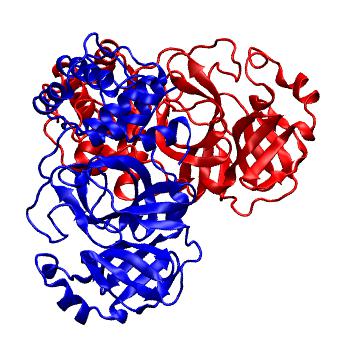 Structure preview of Folding@home molecular dynamics simulations of Diamond Light Source / XChem X-ray structures of small molecule inhibitors of the SARS-CoV-2 main protease from the COVID Moonshot; project 13437, run 312