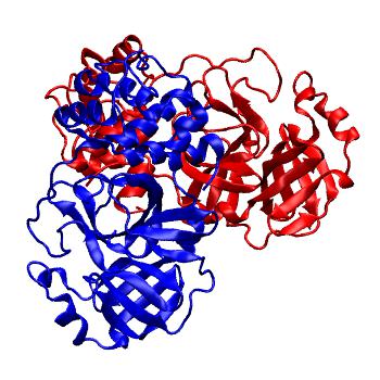 Structure preview of Folding@home molecular dynamics simulations of Diamond Light Source / XChem X-ray structures of small molecule inhibitors of the SARS-CoV-2 main protease from the COVID Moonshot; project 13437, run 314