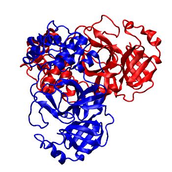 Structure preview of Folding@home molecular dynamics simulations of Diamond Light Source / XChem X-ray structures of small molecule inhibitors of the SARS-CoV-2 main protease from the COVID Moonshot; project 13437, run 315