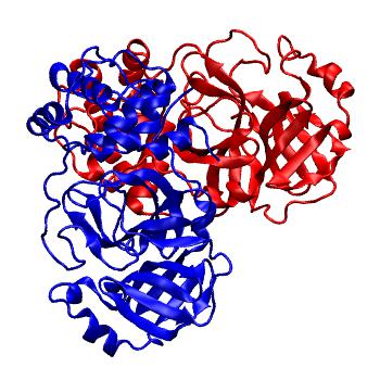 Structure preview of Folding@home molecular dynamics simulations of Diamond Light Source / XChem X-ray structures of small molecule inhibitors of the SARS-CoV-2 main protease from the COVID Moonshot; project 13437, run 316