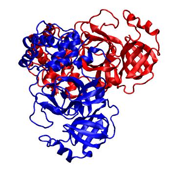 Structure preview of Folding@home molecular dynamics simulations of Diamond Light Source / XChem X-ray structures of small molecule inhibitors of the SARS-CoV-2 main protease from the COVID Moonshot; project 13437, run 31