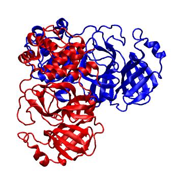 Structure preview of Folding@home molecular dynamics simulations of Diamond Light Source / XChem X-ray structures of small molecule inhibitors of the SARS-CoV-2 main protease from the COVID Moonshot; project 13437, run 321