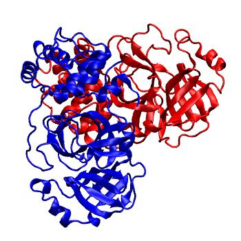 Structure preview of Folding@home molecular dynamics simulations of Diamond Light Source / XChem X-ray structures of small molecule inhibitors of the SARS-CoV-2 main protease from the COVID Moonshot; project 13437, run 324