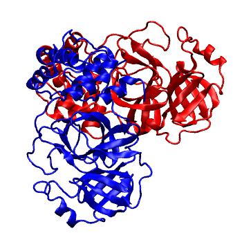 Structure preview of Folding@home molecular dynamics simulations of Diamond Light Source / XChem X-ray structures of small molecule inhibitors of the SARS-CoV-2 main protease from the COVID Moonshot; project 13437, run 325