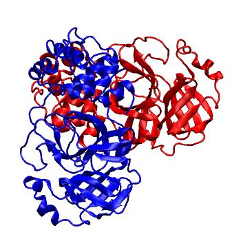 Structure preview of Folding@home molecular dynamics simulations of Diamond Light Source / XChem X-ray structures of small molecule inhibitors of the SARS-CoV-2 main protease from the COVID Moonshot; project 13437, run 326