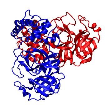 Structure preview of Folding@home molecular dynamics simulations of Diamond Light Source / XChem X-ray structures of small molecule inhibitors of the SARS-CoV-2 main protease from the COVID Moonshot; project 13437, run 32