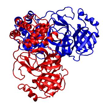 Structure preview of Folding@home molecular dynamics simulations of Diamond Light Source / XChem X-ray structures of small molecule inhibitors of the SARS-CoV-2 main protease from the COVID Moonshot; project 13437, run 330