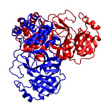 Structure preview of Folding@home molecular dynamics simulations of Diamond Light Source / XChem X-ray structures of small molecule inhibitors of the SARS-CoV-2 main protease from the COVID Moonshot; project 13437, run 331