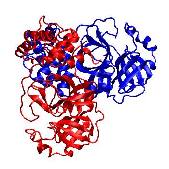 Structure preview of Folding@home molecular dynamics simulations of Diamond Light Source / XChem X-ray structures of small molecule inhibitors of the SARS-CoV-2 main protease from the COVID Moonshot; project 13437, run 332