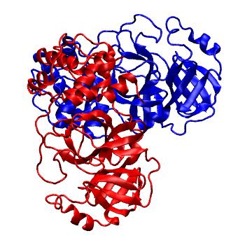 Structure preview of Folding@home molecular dynamics simulations of Diamond Light Source / XChem X-ray structures of small molecule inhibitors of the SARS-CoV-2 main protease from the COVID Moonshot; project 13437, run 333