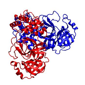 Structure preview of Folding@home molecular dynamics simulations of Diamond Light Source / XChem X-ray structures of small molecule inhibitors of the SARS-CoV-2 main protease from the COVID Moonshot; project 13437, run 334