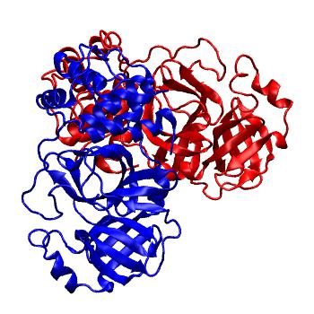 Structure preview of Folding@home molecular dynamics simulations of Diamond Light Source / XChem X-ray structures of small molecule inhibitors of the SARS-CoV-2 main protease from the COVID Moonshot; project 13437, run 335