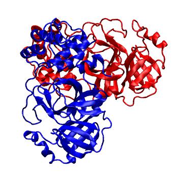 Structure preview of Folding@home molecular dynamics simulations of Diamond Light Source / XChem X-ray structures of small molecule inhibitors of the SARS-CoV-2 main protease from the COVID Moonshot; project 13437, run 337