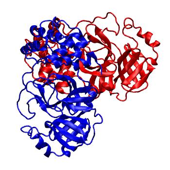 Structure preview of Folding@home molecular dynamics simulations of Diamond Light Source / XChem X-ray structures of small molecule inhibitors of the SARS-CoV-2 main protease from the COVID Moonshot; project 13437, run 339