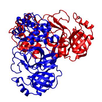 Structure preview of Folding@home molecular dynamics simulations of Diamond Light Source / XChem X-ray structures of small molecule inhibitors of the SARS-CoV-2 main protease from the COVID Moonshot; project 13437, run 340