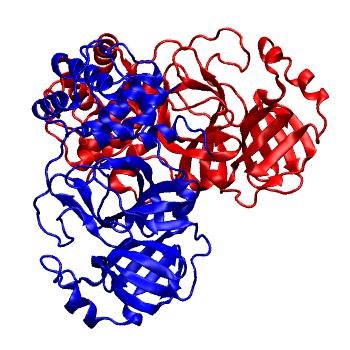 Structure preview of Folding@home molecular dynamics simulations of Diamond Light Source / XChem X-ray structures of small molecule inhibitors of the SARS-CoV-2 main protease from the COVID Moonshot; project 13437, run 342