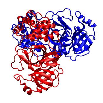 Structure preview of Folding@home molecular dynamics simulations of Diamond Light Source / XChem X-ray structures of small molecule inhibitors of the SARS-CoV-2 main protease from the COVID Moonshot; project 13437, run 343