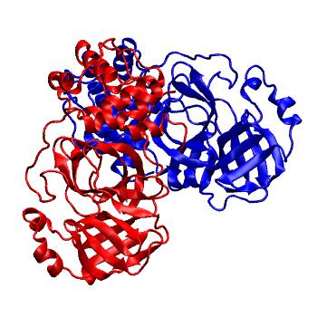 Structure preview of Folding@home molecular dynamics simulations of Diamond Light Source / XChem X-ray structures of small molecule inhibitors of the SARS-CoV-2 main protease from the COVID Moonshot; project 13437, run 344