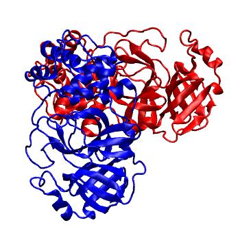 Structure preview of Folding@home molecular dynamics simulations of Diamond Light Source / XChem X-ray structures of small molecule inhibitors of the SARS-CoV-2 main protease from the COVID Moonshot; project 13437, run 345