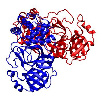 Structure preview of Folding@home molecular dynamics simulations of Diamond Light Source / XChem X-ray structures of small molecule inhibitors of the SARS-CoV-2 main protease from the COVID Moonshot; project 13437, run 35