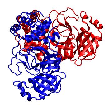 Structure preview of Folding@home molecular dynamics simulations of Diamond Light Source / XChem X-ray structures of small molecule inhibitors of the SARS-CoV-2 main protease from the COVID Moonshot; project 13437, run 36