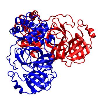 Structure preview of Folding@home molecular dynamics simulations of Diamond Light Source / XChem X-ray structures of small molecule inhibitors of the SARS-CoV-2 main protease from the COVID Moonshot; project 13437, run 37