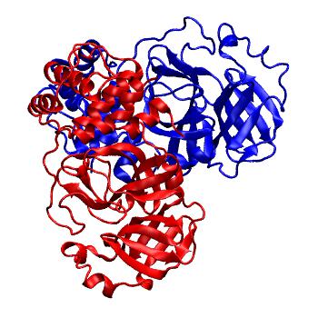 Structure preview of Folding@home molecular dynamics simulations of Diamond Light Source / XChem X-ray structures of small molecule inhibitors of the SARS-CoV-2 main protease from the COVID Moonshot; project 13437, run 38