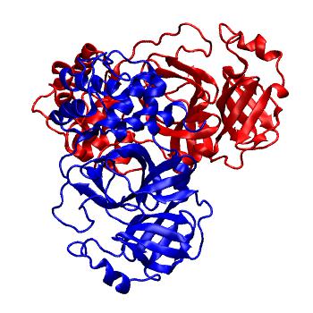 Structure preview of Folding@home molecular dynamics simulations of Diamond Light Source / XChem X-ray structures of small molecule inhibitors of the SARS-CoV-2 main protease from the COVID Moonshot; project 13437, run 39