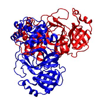 Structure preview of Folding@home molecular dynamics simulations of Diamond Light Source / XChem X-ray structures of small molecule inhibitors of the SARS-CoV-2 main protease from the COVID Moonshot; project 13437, run 3