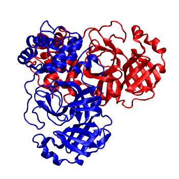Structure preview of Folding@home molecular dynamics simulations of Diamond Light Source / XChem X-ray structures of small molecule inhibitors of the SARS-CoV-2 main protease from the COVID Moonshot; project 13437, run 40