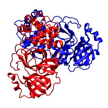 Structure preview of Folding@home molecular dynamics simulations of Diamond Light Source / XChem X-ray structures of small molecule inhibitors of the SARS-CoV-2 main protease from the COVID Moonshot; project 13437, run 41