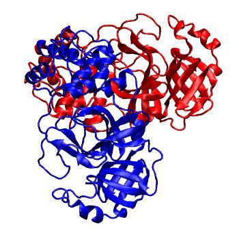 Structure preview of Folding@home molecular dynamics simulations of Diamond Light Source / XChem X-ray structures of small molecule inhibitors of the SARS-CoV-2 main protease from the COVID Moonshot; project 13437, run 42