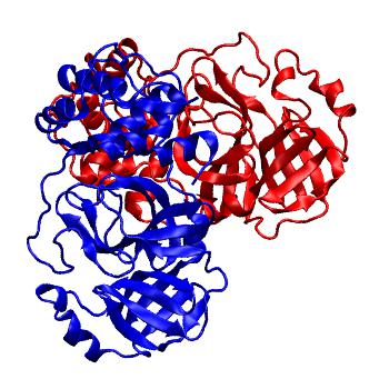 Structure preview of Folding@home molecular dynamics simulations of Diamond Light Source / XChem X-ray structures of small molecule inhibitors of the SARS-CoV-2 main protease from the COVID Moonshot; project 13437, run 45