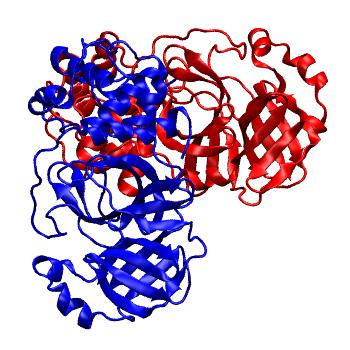 Structure preview of Folding@home molecular dynamics simulations of Diamond Light Source / XChem X-ray structures of small molecule inhibitors of the SARS-CoV-2 main protease from the COVID Moonshot; project 13437, run 46