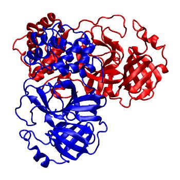 Structure preview of Folding@home molecular dynamics simulations of Diamond Light Source / XChem X-ray structures of small molecule inhibitors of the SARS-CoV-2 main protease from the COVID Moonshot; project 13437, run 47