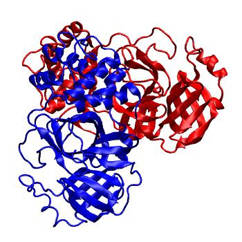 Structure preview of Folding@home molecular dynamics simulations of Diamond Light Source / XChem X-ray structures of small molecule inhibitors of the SARS-CoV-2 main protease from the COVID Moonshot; project 13437, run 48