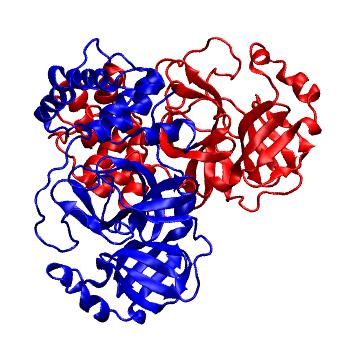 Structure preview of Folding@home molecular dynamics simulations of Diamond Light Source / XChem X-ray structures of small molecule inhibitors of the SARS-CoV-2 main protease from the COVID Moonshot; project 13437, run 49