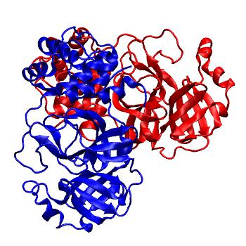 Structure preview of Folding@home molecular dynamics simulations of Diamond Light Source / XChem X-ray structures of small molecule inhibitors of the SARS-CoV-2 main protease from the COVID Moonshot; project 13437, run 50