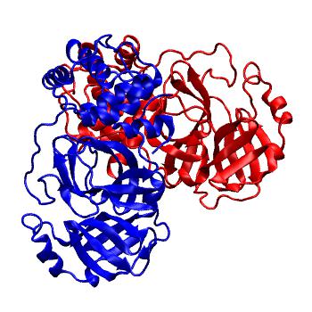 Structure preview of Folding@home molecular dynamics simulations of Diamond Light Source / XChem X-ray structures of small molecule inhibitors of the SARS-CoV-2 main protease from the COVID Moonshot; project 13437, run 51